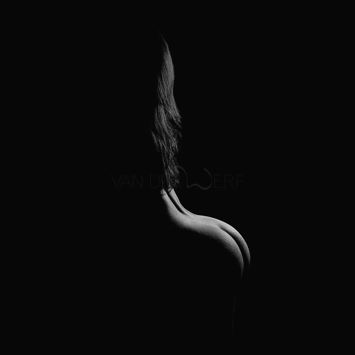 Silhouette of a woman's back with wavy hair, mostly in shadow, against a black background.