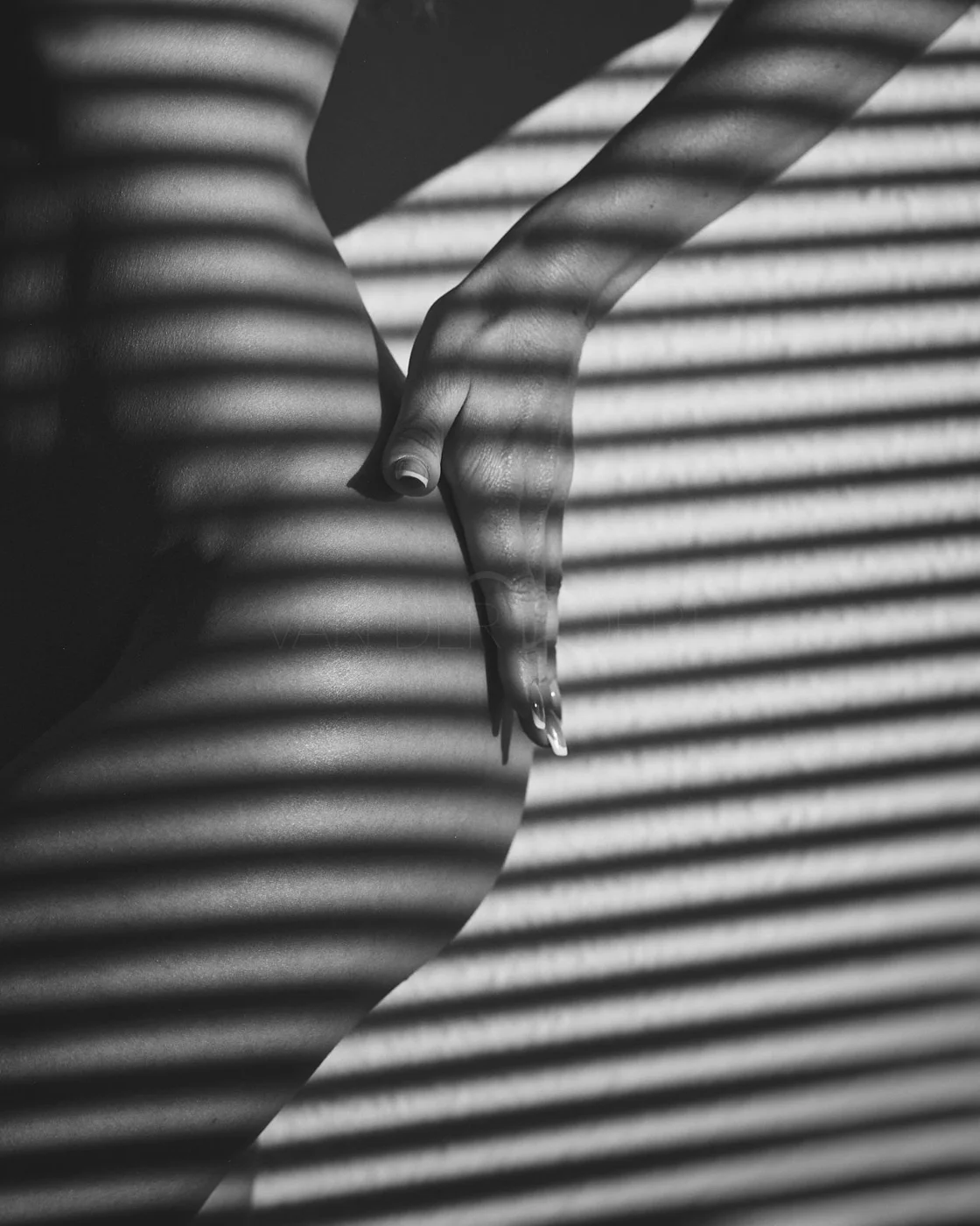 Black and white photograph of a person's back and hand with shadows of blinds cast across the body.