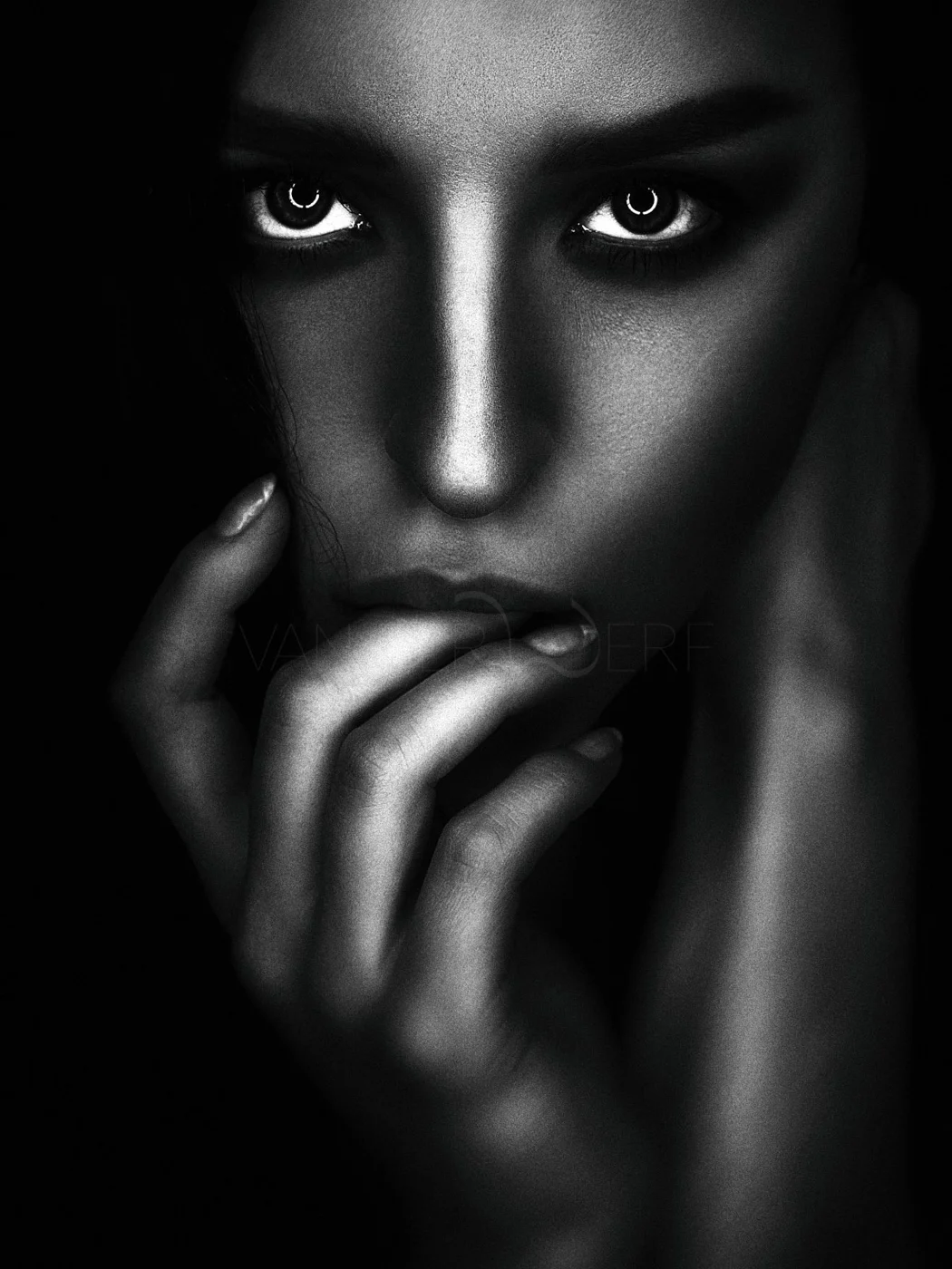 Akt Fotografie Studio Wien Sascha van der Werf19.jpg