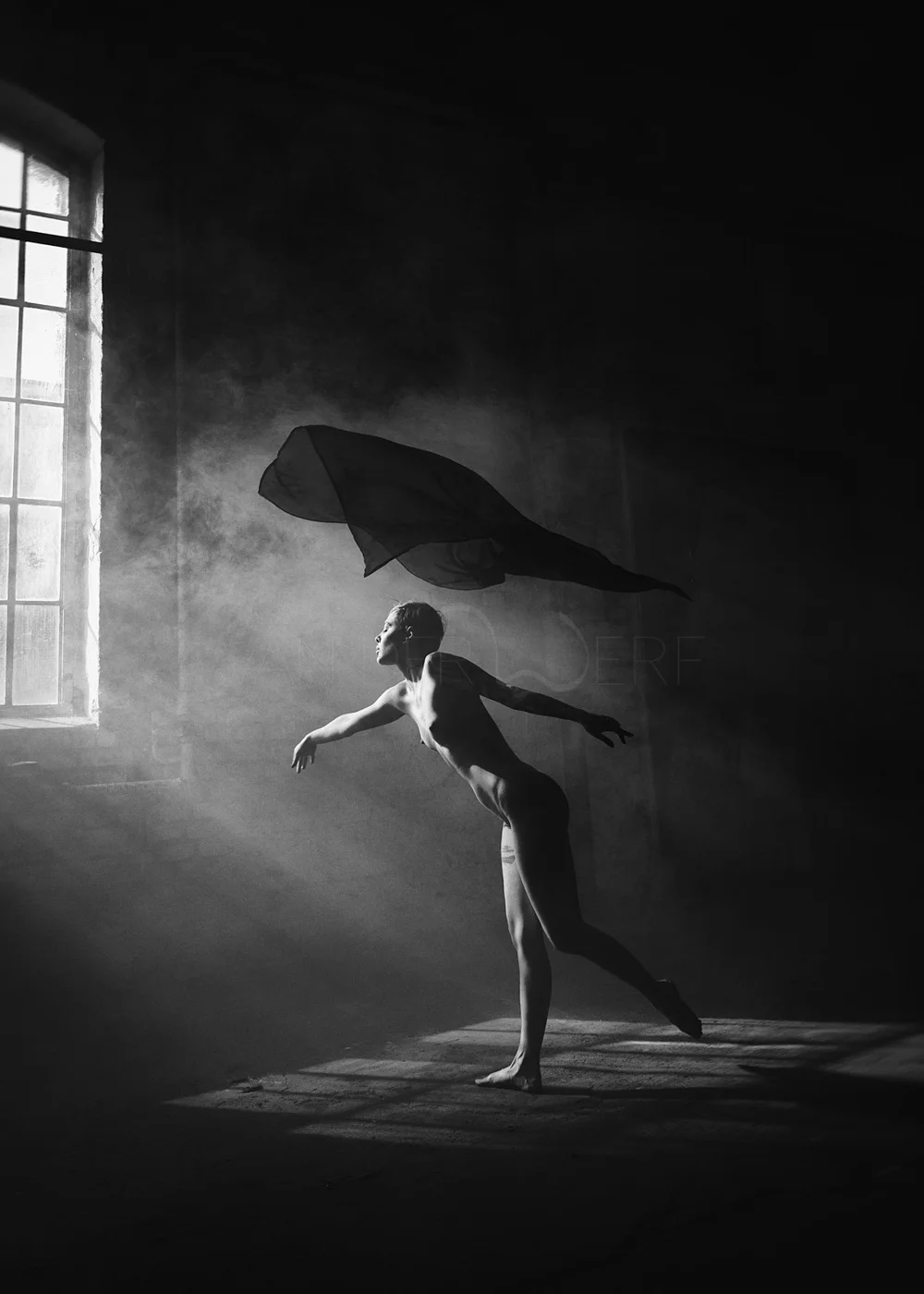 A black and white photograph of a male dancer gracefully posing inside a dimly lit room with a large window. Sunlight streams through the window, illuminating the dancer and casting shadows on the floor. A flowing piece of fabric is attached to his b