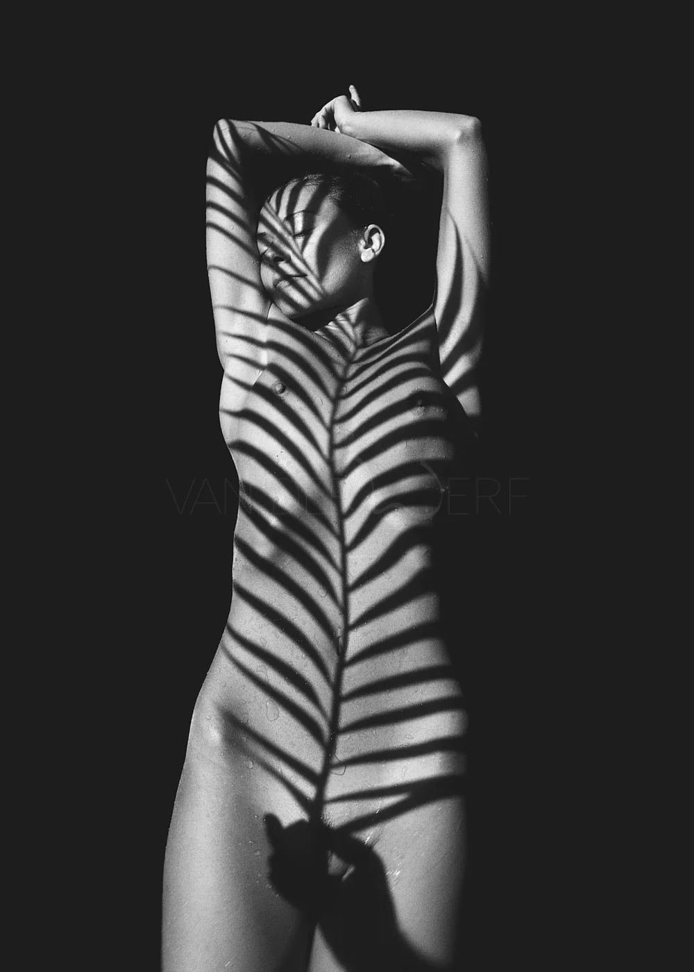 A black and white photo of a woman with shadow lines of a leaf pattern cast across her body and face, her arms raised overhead, with a dark background.