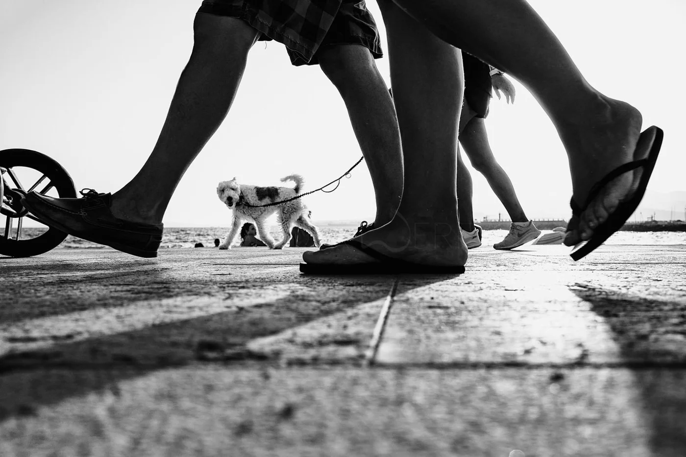 Street_Photography_SaschavanderWerf_web_095.jpg