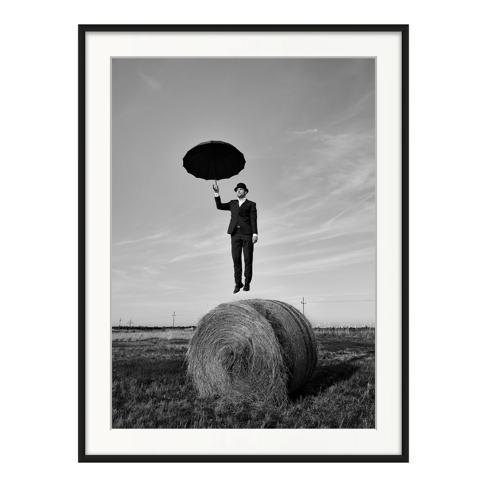 The art of hovering. — original framed print by Sascha van der Werf