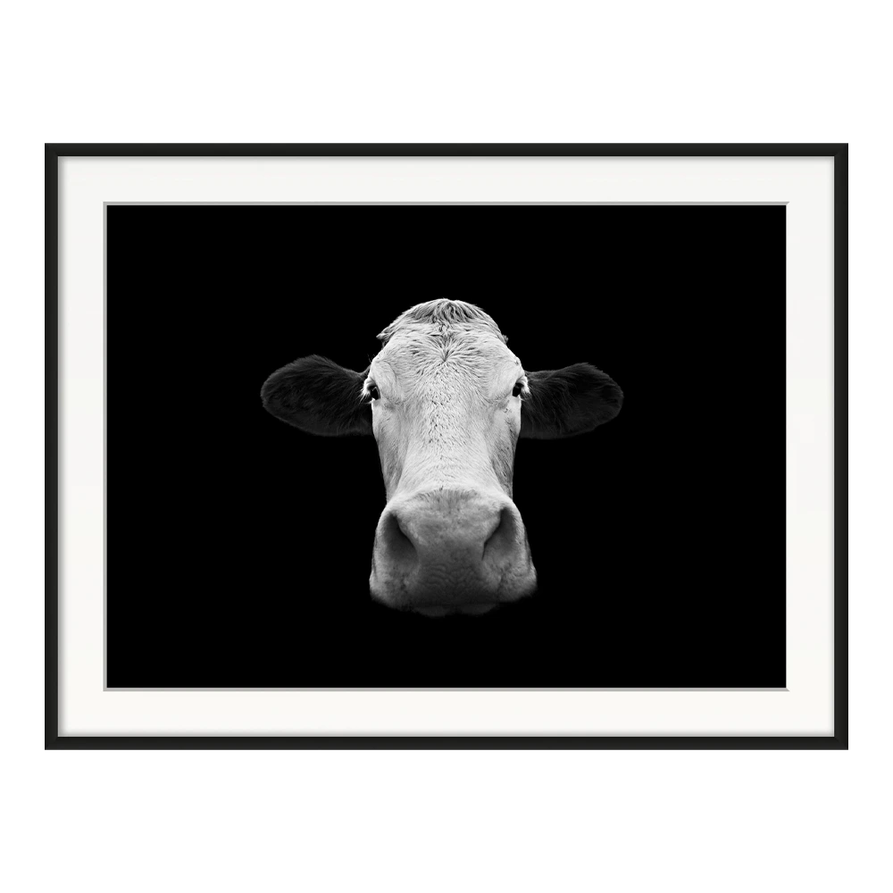 Alma — original framed print by Sascha van der Werf