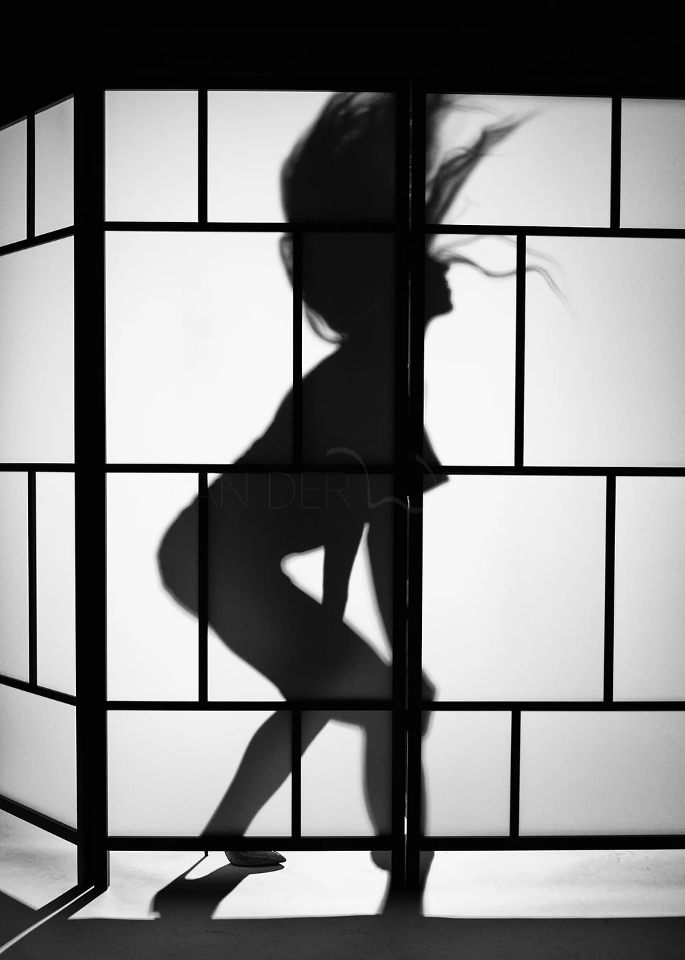 Silhouette of a woman with flowing hair inside a grid-like structure.